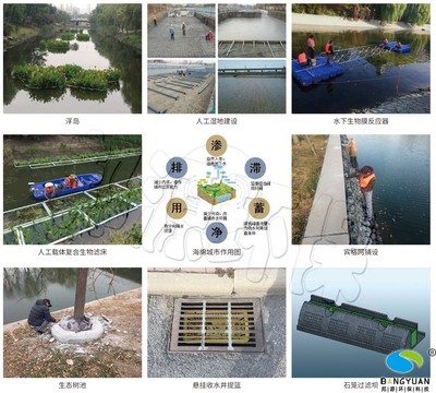 海绵城市建设复兴河长泰河水环境生态修复工程