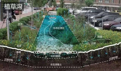 将市政排水工程需要与海绵城市的各种技术进行有效的结合